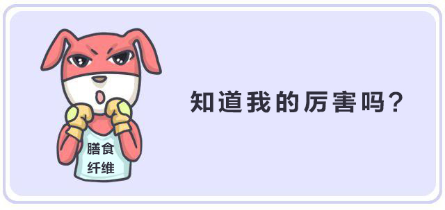 纖維時代,未來已來